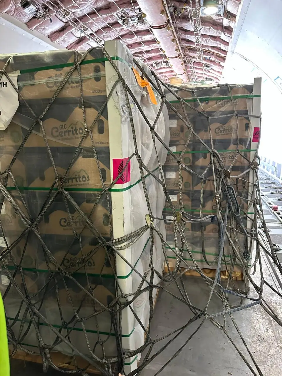 Servicio de aduana